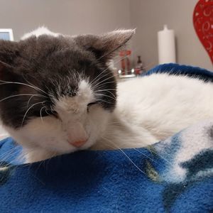 Meet your Posher, Tom